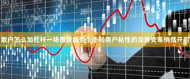 散户怎么加杠杆一场围绕服务生态和用户粘性的深度变革悄然开启